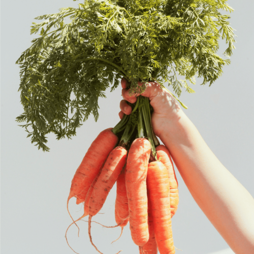 fresh produce